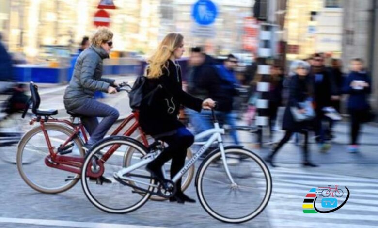 2021 Yılı Trafik İdari Para Ceza Rehberi - Bisiklet